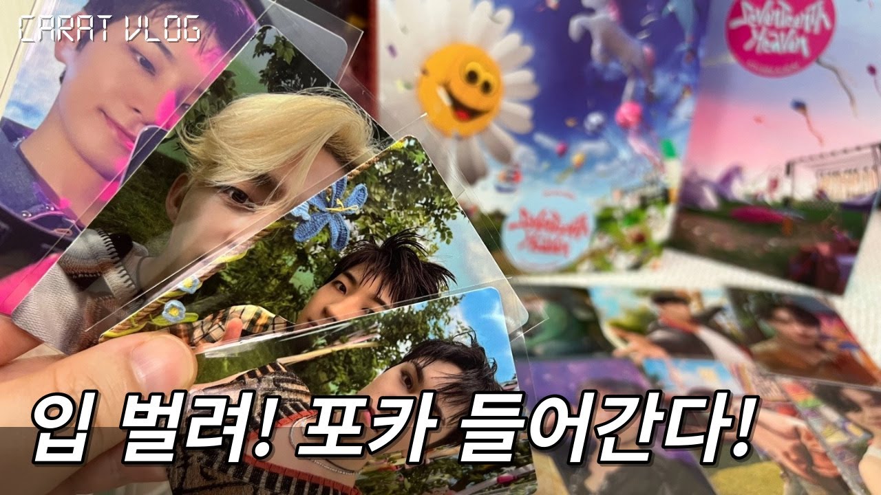 일단 저는 펠리컨입니다만