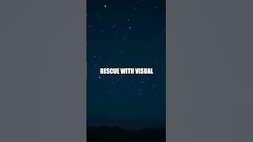 Can You Survive a Night in the Wild?