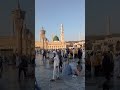 نعت منگدے دیدار تیرا