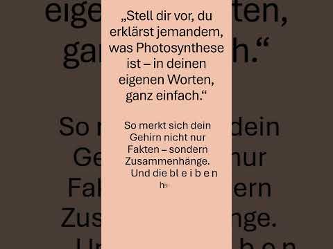 Lernen wie ein