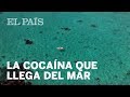 La cocaína que llega del mar