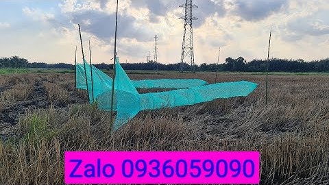 Bán dớn chặn sông, bán xăm bắt cá, bán lú bắt cá, bán đuôi chuột, bán bẫy cá. Zalo 0936059090.