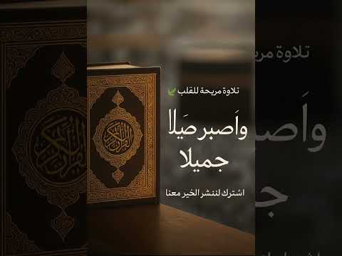 اللهم اجعل قبور أمواتنا وأموات المسلمين روضة من رياض الجنة المصحف قرآن تيك توك دعاء