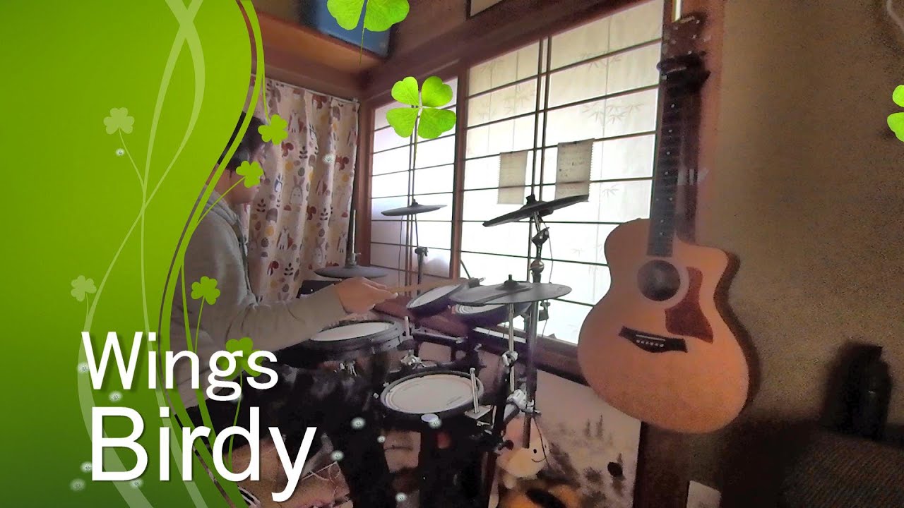 【TD17KV】Drum Coverドラム歴1年1ヶ月【Wings/Birdy】 YouTube