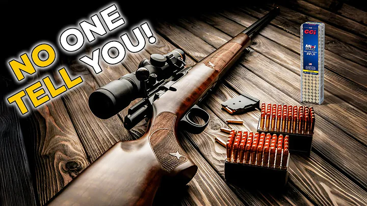 The Shocking Truth About .22 LR Rifles Nobody's Talking About!