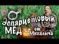 Эспарцетовый мед от Михалыча