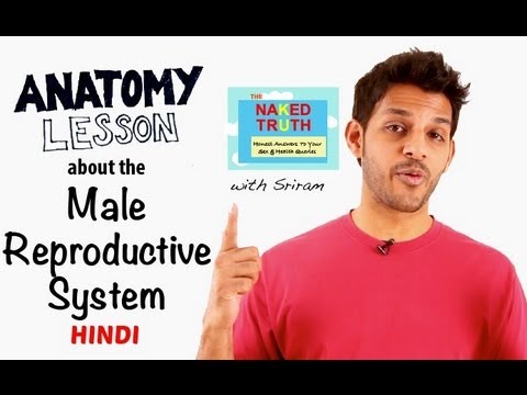 human body systems in hindi