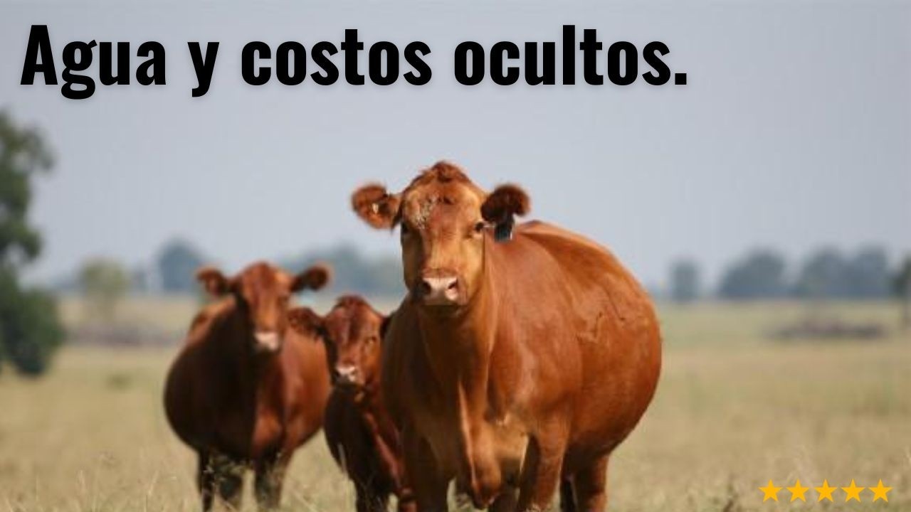 Ganadería AGUA 💧y EFICIENCIA de PASTOREO ✅