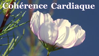 coherence cardiaque exercices 84
