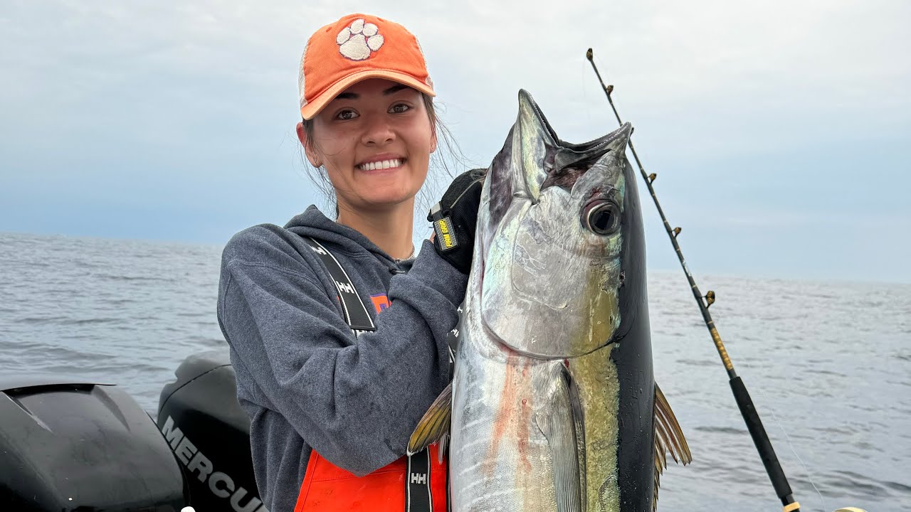 Wolfpack Bluefin & Yellowfin Fishing - Northeast Canyons 2024 - Veatch ...