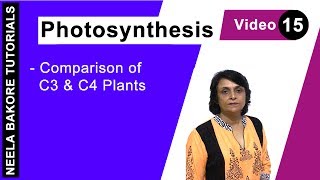 Photosynthesis | NEET | Comparison of C3 & C4 Plants | Neela Bakore Tutorials