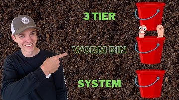 Cheap and EASY Three Tier Worm Bin System!
