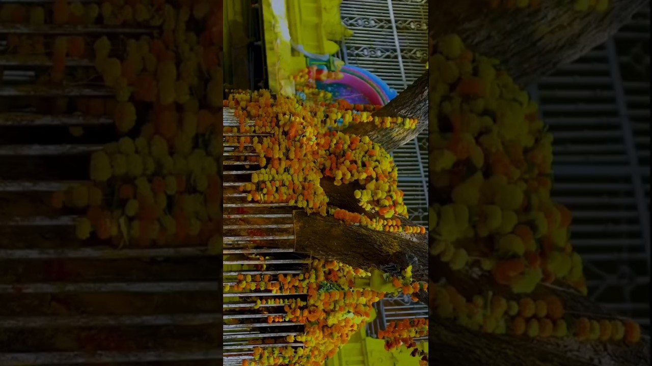 Komuravelli Mallanna Temple | Komuravelli jathara | 