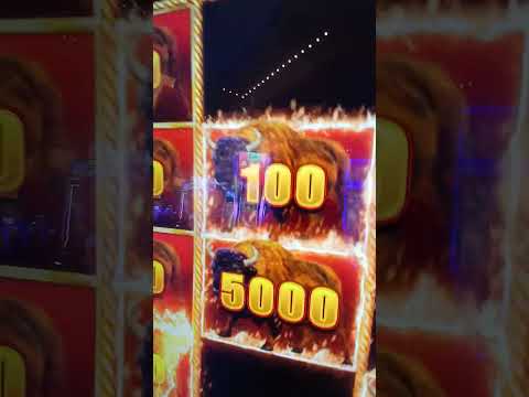 Spill Buffalo-temakasino online: Finn ut hvor du kan spille i Norge