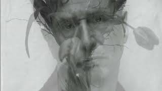 BAND OF HOLY JOY - THE FULL BLOOM OF ROSES