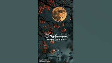واصبر على ما يقولون ♥️♥️🥰 بصوت القارئ زياد ابو بكر