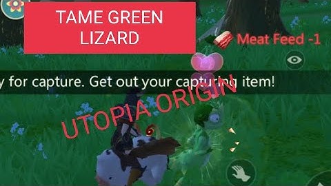 UTOPIA ORIGIN: TAME GREEN LIZARD #utopia_origin #pet #pets #trending