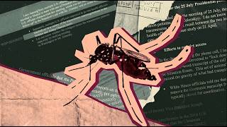 Florida's Dengue Outbreak Is Getting Worse