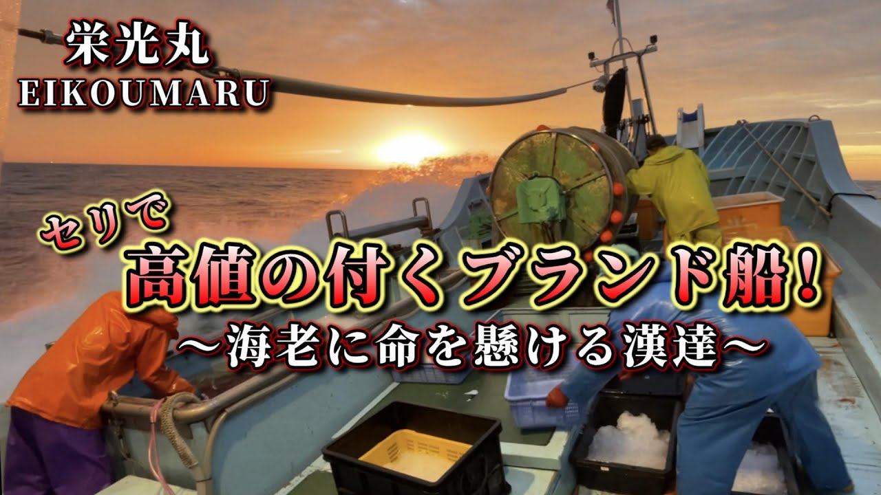 【最高級甘えび漁】栄光丸の沖曳き漁に潜入密着！【越前漁港の漁師達】