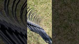 True Temper Dethatching Rake #spring #lawncare #mowing