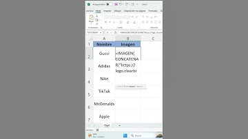 Conectar imágenes a Excel desde la web..