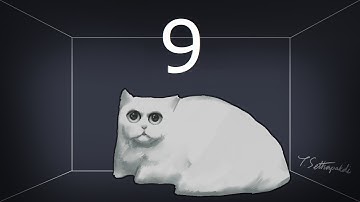 Quantum Money: Lecture 9 of Quantum Computation at CMU