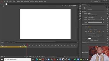 Animate CC / ActionScript 3.0 Using Code Snippert