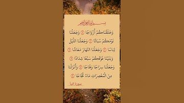 #القران الكريم#سورة النبأ