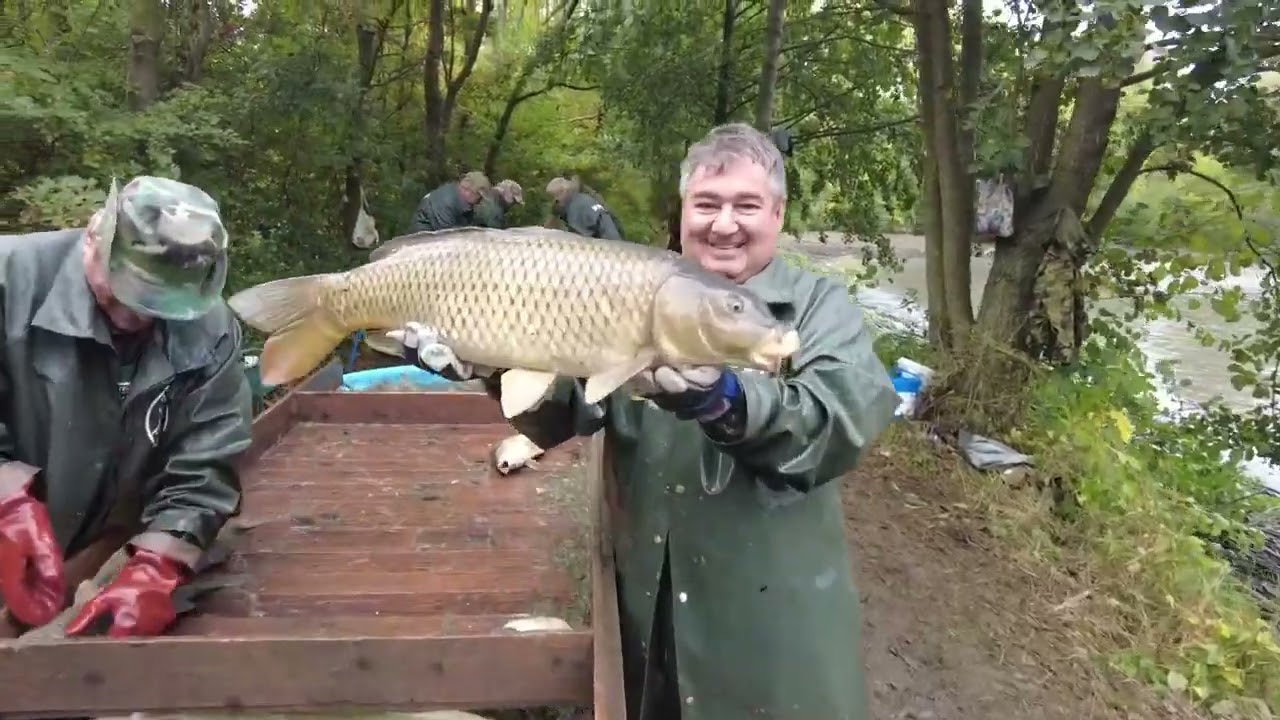 Výlov Malá Barbora 2023