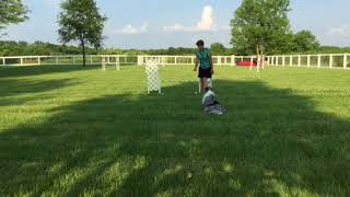 LM Jump Commitment Week Four