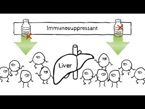 Taking immunosuppressants after your organ transplant
