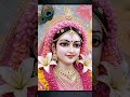 radhe radhe🙏🌹🌹🌹🌹🥰🥰🌷🌷🩹☺️