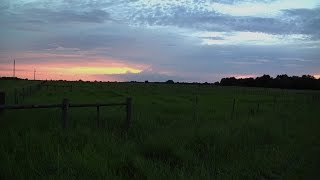 UF/IFAS Range Cattle Research and Education Center Support