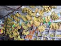 frutería de Pakistán más mejor calidad de frutas