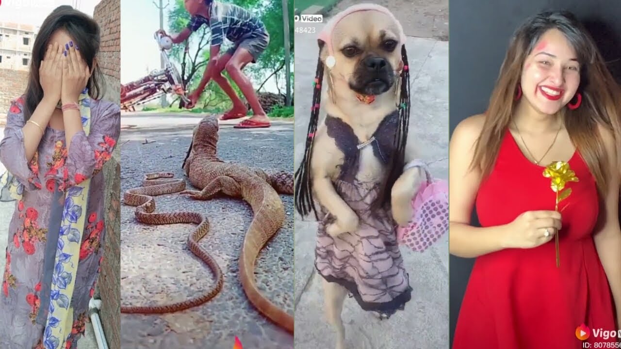 New Viral Corona Virus Comedy Videos || Best Funny Videos || Trending Vigo Videos Compilation🔥