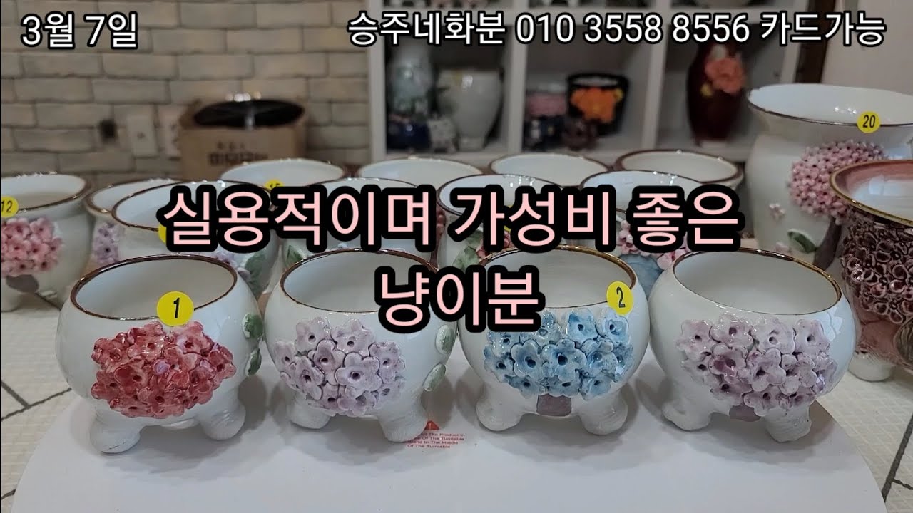 3월 7일 실용적이며 가성비 좋은 냥이분 #승주네화분 #냥이네공방 