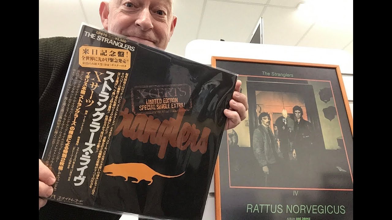 punk The Stranglers など5枚数 【公式通販】