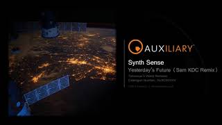 Synth Sense - Yesterday's Future (Sam KDC Remix)