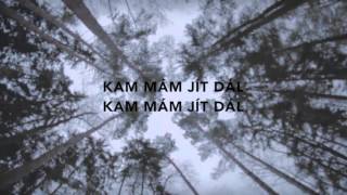 Tvůj stín (lyrics)