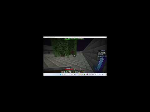 Minecraft Public SMP