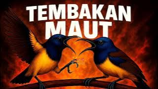 FULL TEMBAKAN MEMATIKAN‼️ MASTERAN SOGON FULL ISIAN