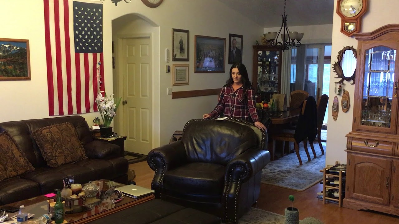 Why Cats Make the Perfect Pet Persuasive Speech YouTube