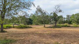 Fannin Street Martindale TX 78655
