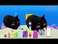 SpongeBob Maxwell The Cat Add Round 1 