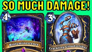 Wait... You Can Do That??? Crackling Cloudstrider OTK!