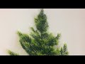 ひば（ヒバ）の造花は、寺院様に人気です。