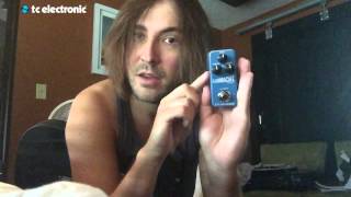 Andy Wood Flashback Mini Delay