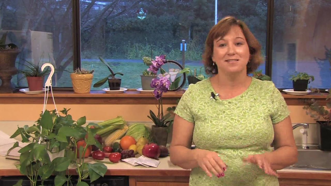 Gardening Plant Care How To Start A New Lawn By Planting Seeds Gardening plant care how to start a new lawn by planting seeds
