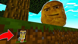 ME HICE pequeño para ROBAR y ESCONDERME de GEGAGEDIGEDAGEDAGO en MINECRAFT MICHI MIAU vs NUGGET MEME