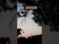 sunset is love✨️❤️❤️...#shorts #fana #sunset #love #instagram #youtubeshort #vibes